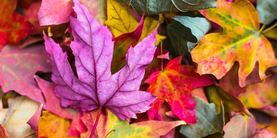 How to prep your home for a fall sale